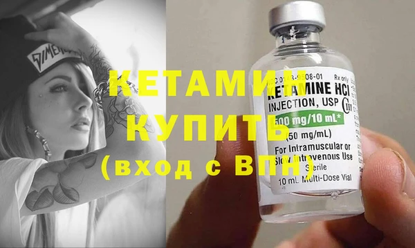 индика Дмитриев