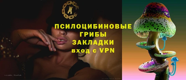 спиды Гусиноозёрск