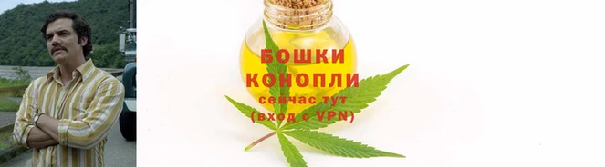 mdpv Гусев